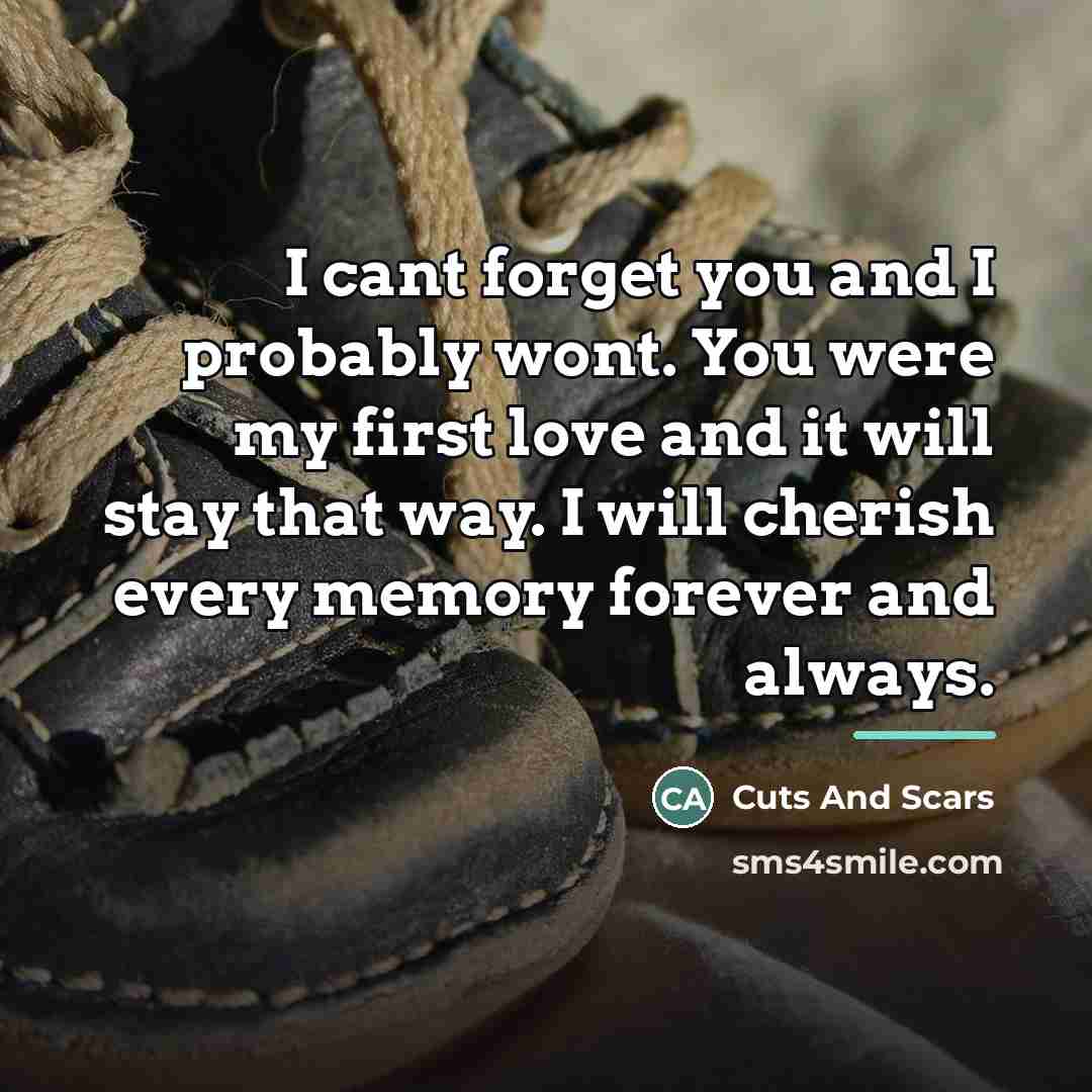 “I cant forget you and I probably wont. You were…” quote by Cuts And Scars