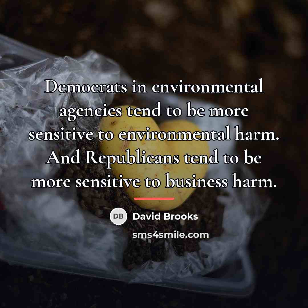 “Democrats in environmental agencies tend to be more sensitive to…” quote by David Brooks