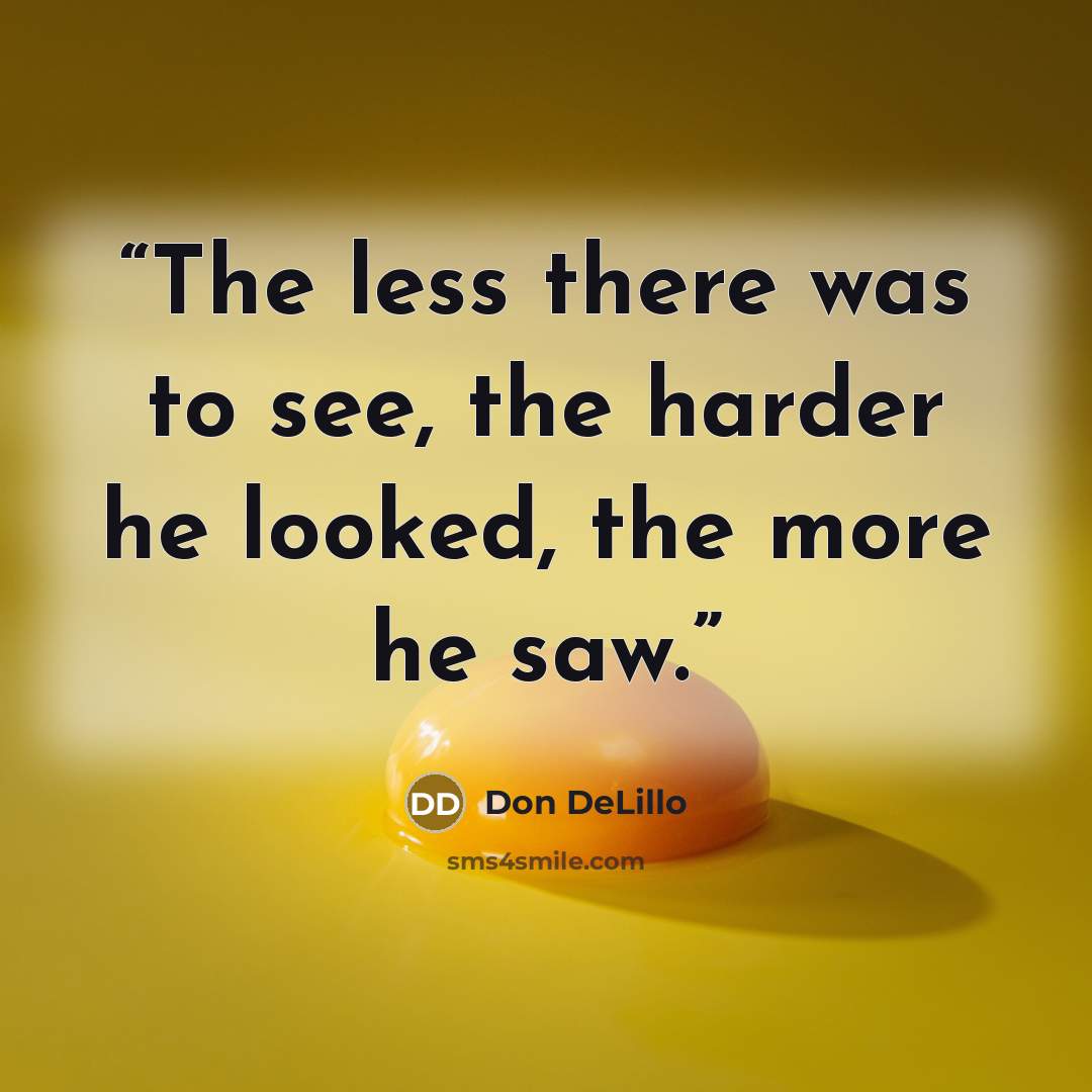 “The less there was to see, the harder he looked, the more he saw.” quote by Don DeLillo