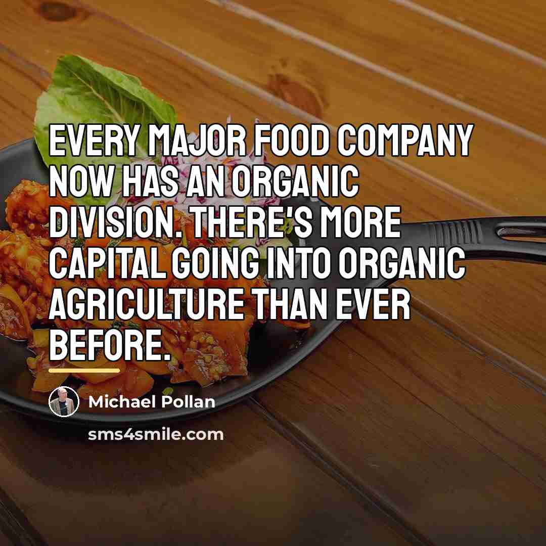 “Every major food company now has an organic division. There's…” quote by Michael Pollan