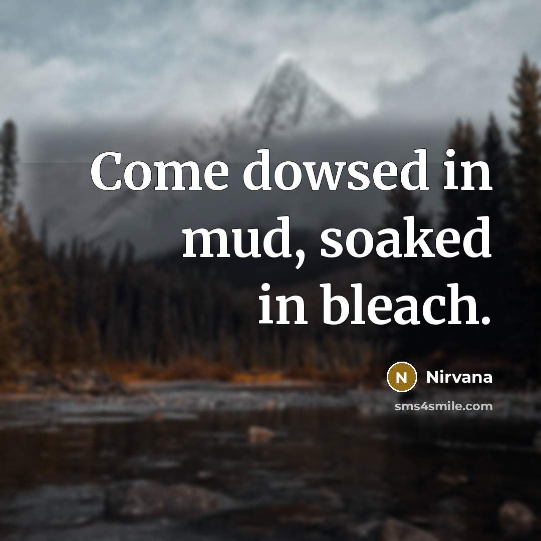“Come dowsed in mud, soaked in bleach.” quote by Nirvana
