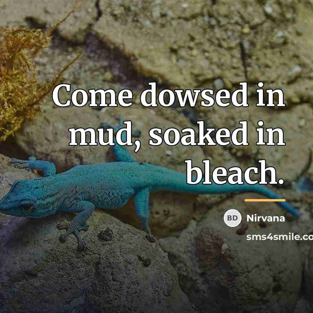 “Come dowsed in mud, soaked in bleach.…” quote by Nirvana