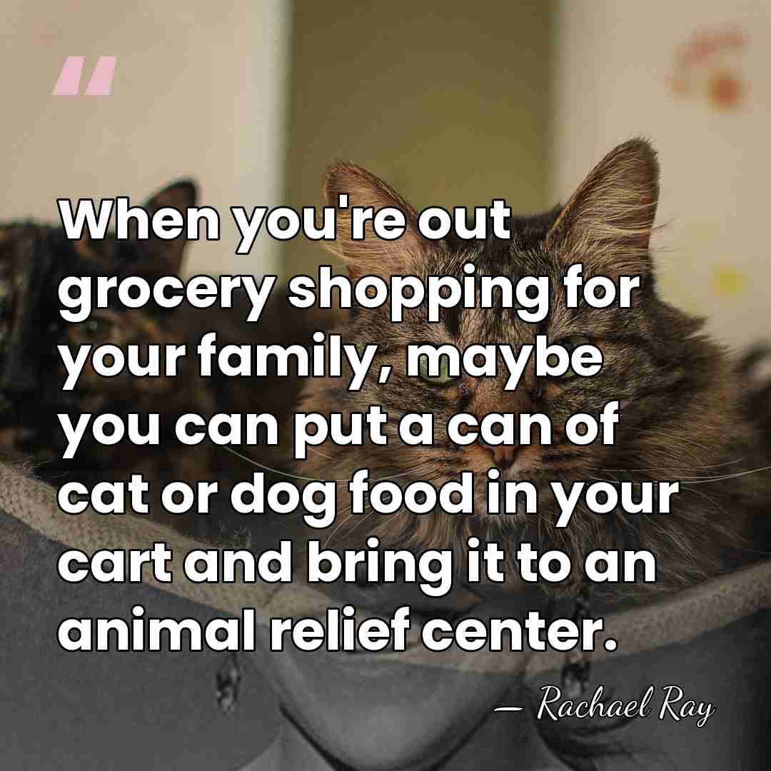 When you're out grocery shopping for your family, maybe you can put&hellip; - Rachael Ray