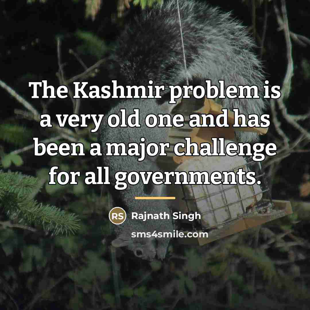“The Kashmir problem is a very old one and has…” quote by Rajnath Singh