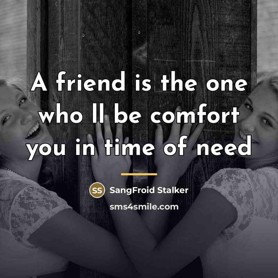 “A friend is the one who ll be comfort you…” quote by SangFroid Stalker