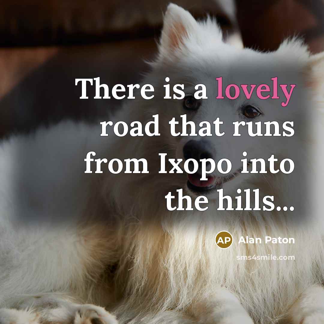 “There is a lovely road that runs from Ixopo into…” quote by Alan Paton
