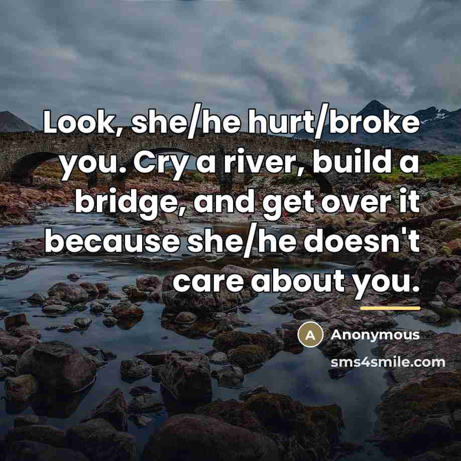 “Look, she/he hurt/broke you. Cry a river, build a bridge,…” quote by Anonymous