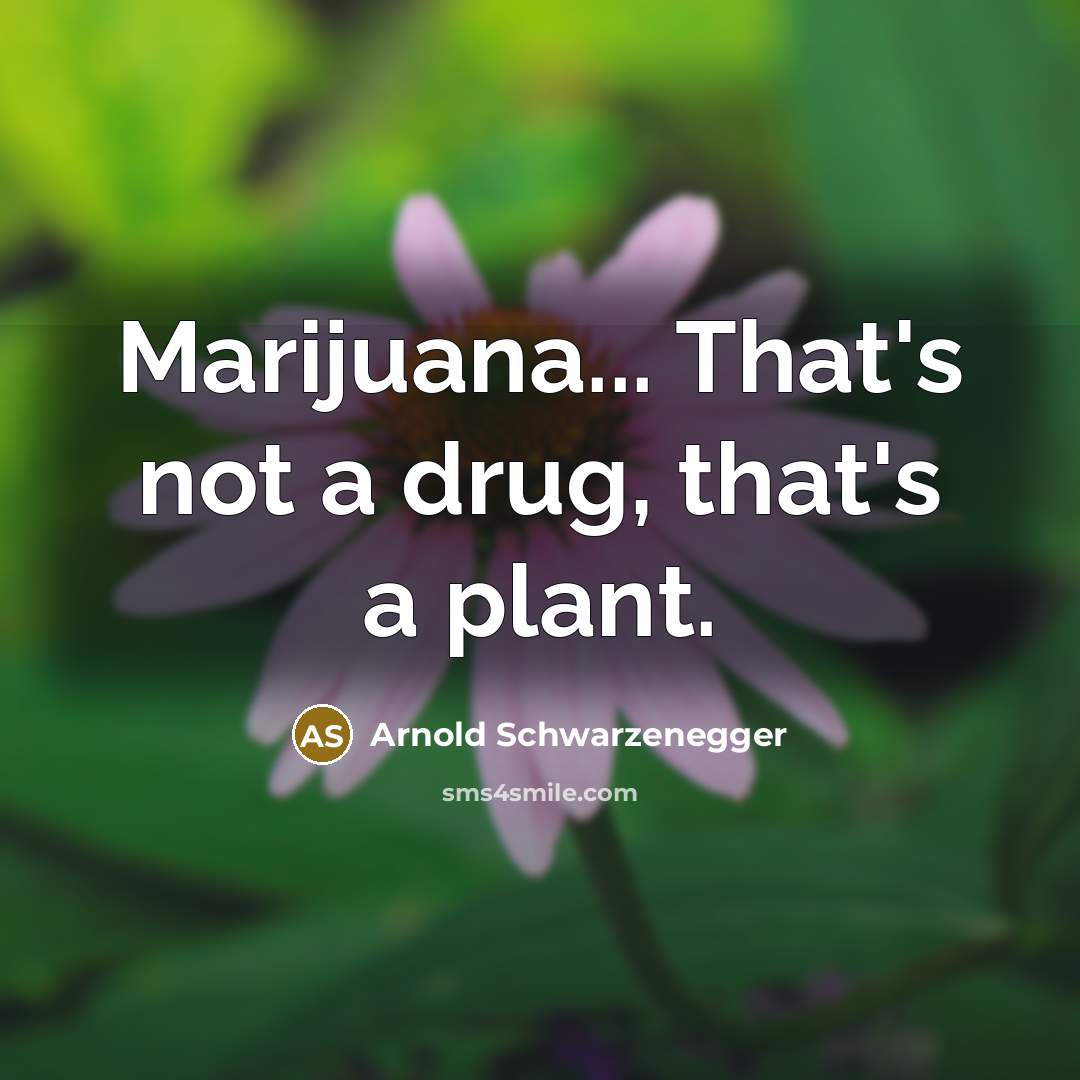 “Marijuana... That's not a drug, that's a plant.…” quote by Arnold Schwarzenegger