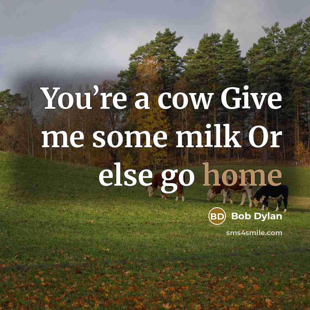 “You’re a cow Give me some milk Or else go…” quote by Bob Dylan