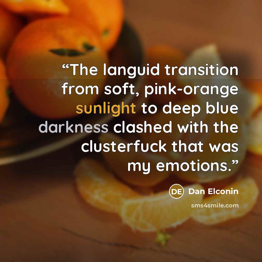 “The languid transition from soft, pink-orange sunlight to deep blue darkness clashed with the clusterfuck that was my emotions.” quote by Dan Elconin