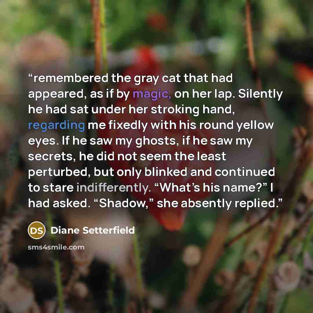“remembered the gray cat that had appeared, as if by magic, on her lap. Silently he had sat under her stroking hand, regarding me fixedly with his round yellow eyes. If he saw my ghosts, if he saw my secrets, he did not seem the least perturbed, but only blinked and continued to stare…” quote by Diane Setterfield