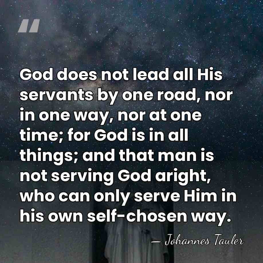 God does not lead all His servants by one road, nor in&hellip; - Johannes Tauler