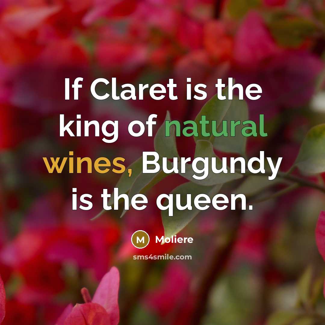 “If Claret is the king of natural wines, Burgundy is…” quote by Moliere