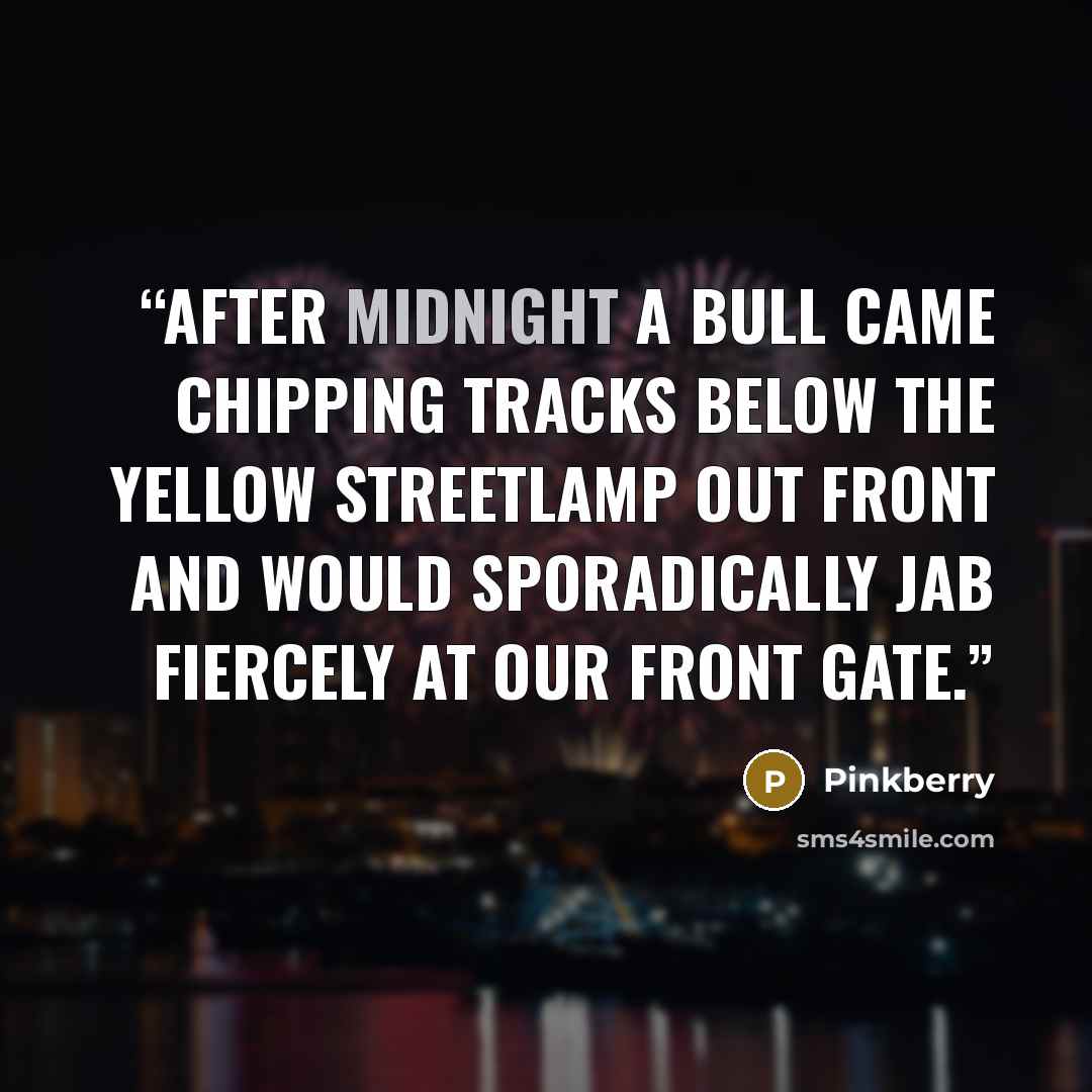 “After midnight a bull came chipping tracks below the yellow streetlamp out front and would sporadically jab fiercely at our front gate.” quote by Pinkberry