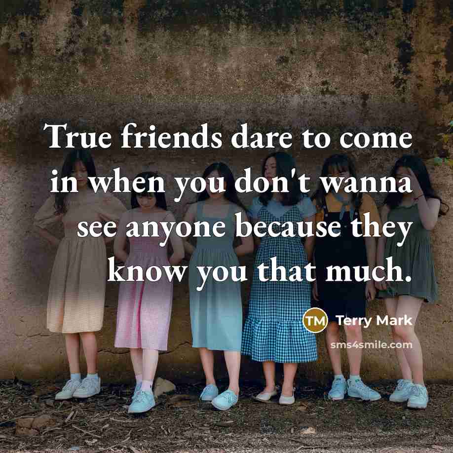“True friends dare to come in when you don't wanna…” quote by Terry Mark