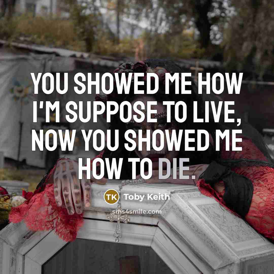“You showed me how I'm suppose to live, now you…” quote by Toby Keith