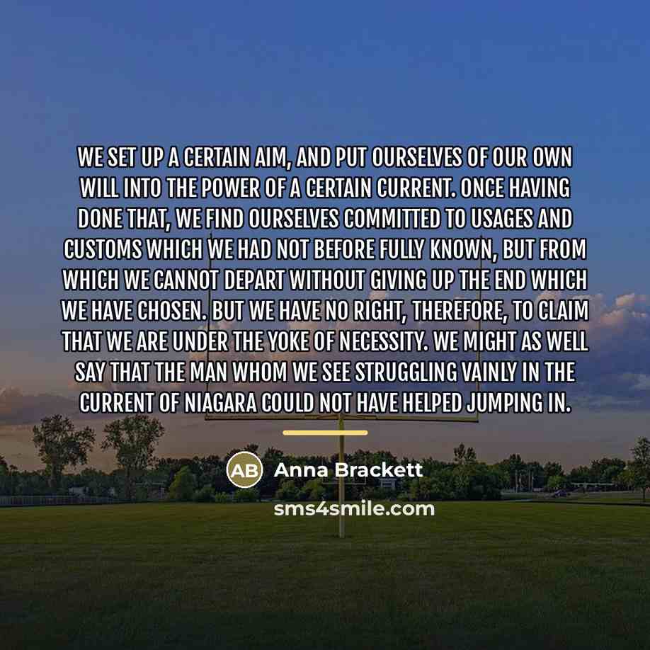 “We set up a certain aim, and put ourselves of…” quote by Anna Brackett