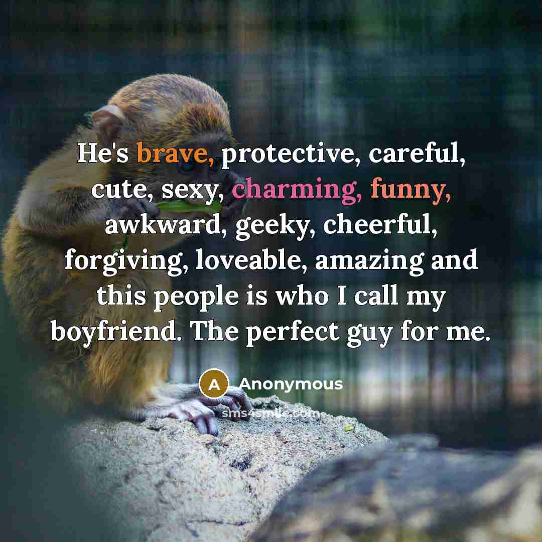 “He's brave, protective, careful, cute, sexy, charming, funny, awkward, geeky,…” quote by Anonymous