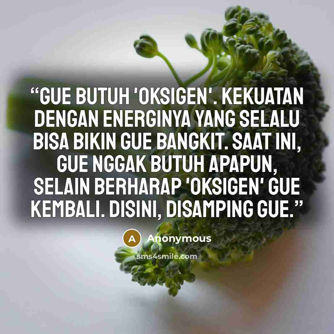 “Gue butuh 'oksigen'. Kekuatan dengan energinya yang selalu bisa bikin gue bangkit. Saat ini, gue nggak butuh apapun, selain berharap 'oksigen' gue kembali. Disini, disamping gue.” quote by Anonymous