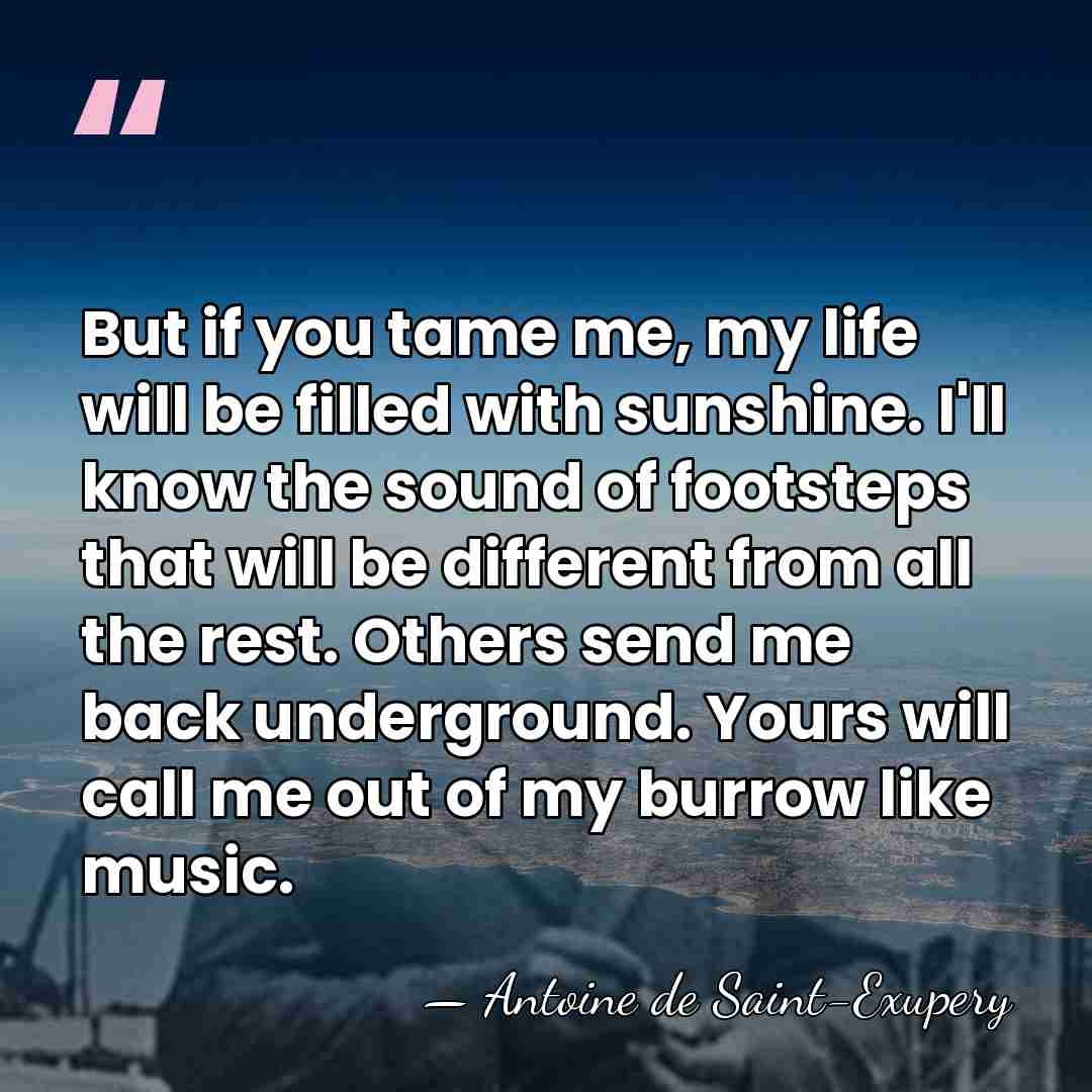 But if you tame me, my life will be filled with sunshine.&hellip; - Antoine De Saint-Exupéry