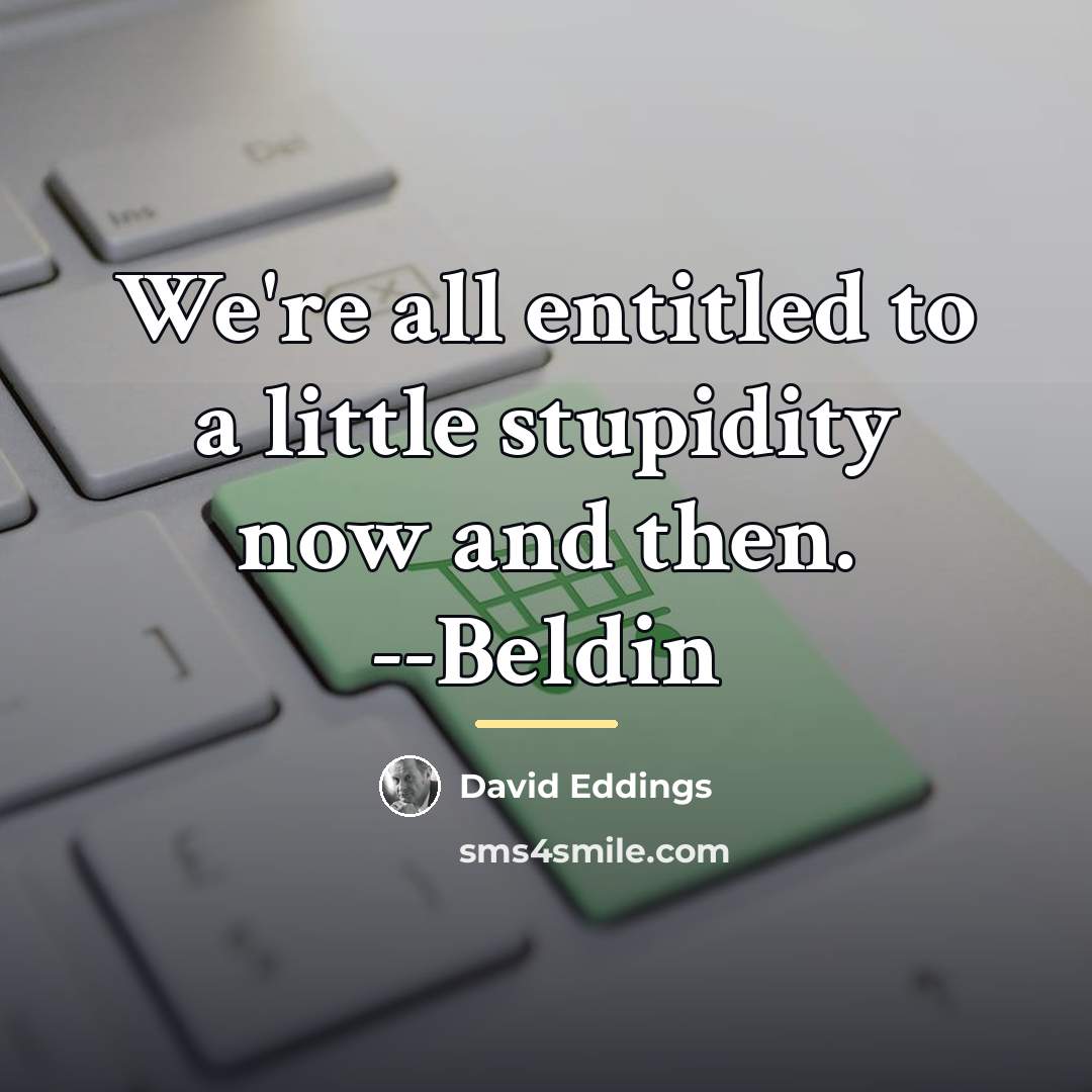 “We're all entitled to a little stupidity now and then.…” quote by David Eddings