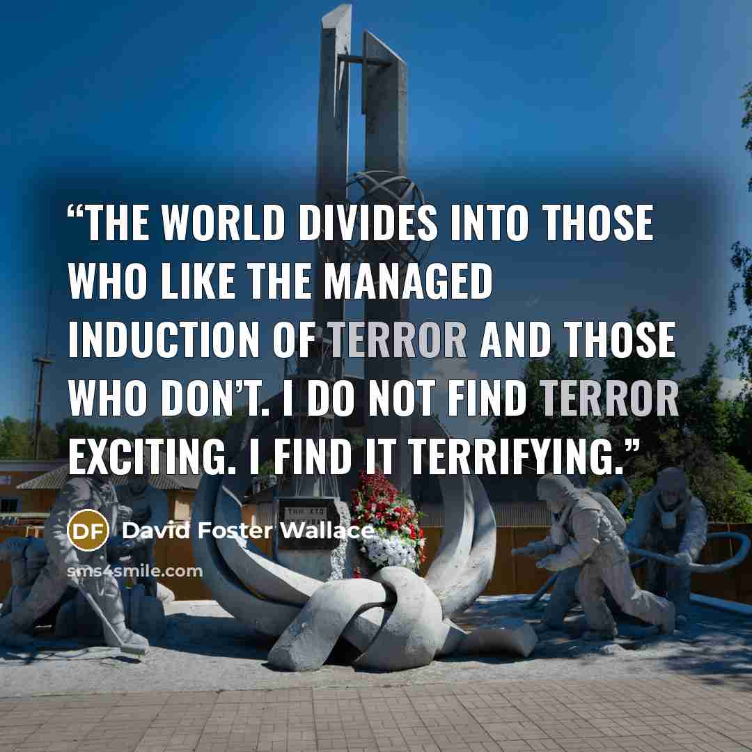 “The world divides into those who like the managed induction of terror and those who don’t. I do not find terror exciting. I find it terrifying.” quote by David Foster Wallace