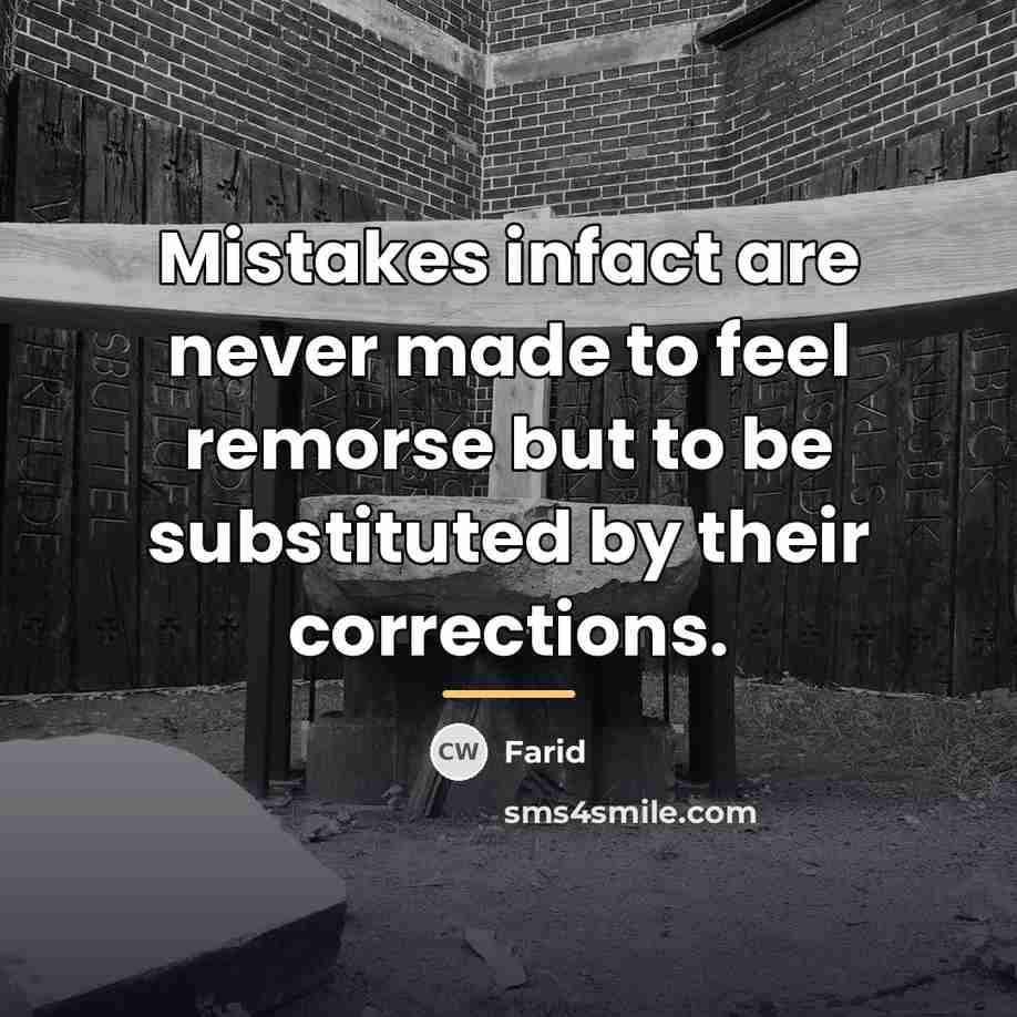 “Mistakes infact are never made to feel remorse but to…” quote by Farid