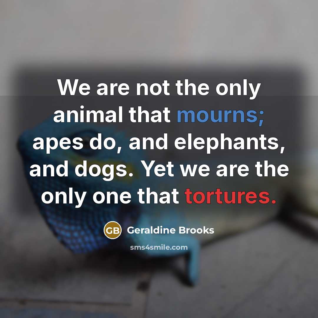 “We are not the only animal that mourns; apes do,…” quote by Geraldine Brooks