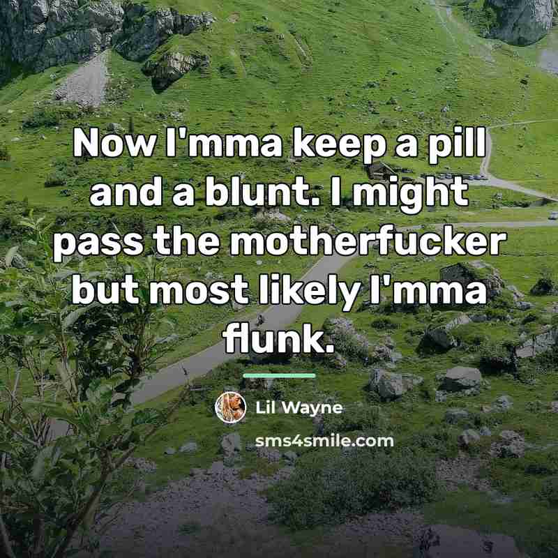 “Now I'mma keep a pill and a blunt. I might…” quote by Lil Wayne