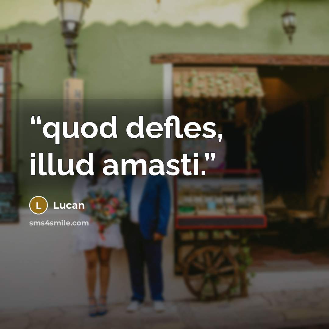 “quod defles, illud amasti.” quote by Lucan