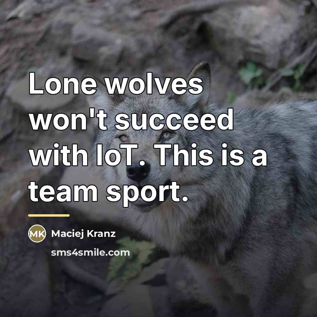 “Lone wolves won't succeed with IoT. This is a team…” quote by Maciej Kranz