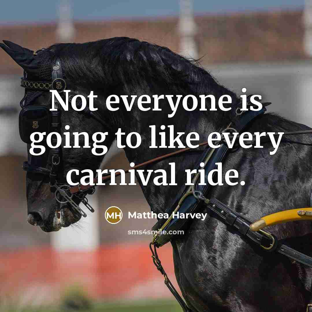 “Not everyone is going to like every carnival ride.…” quote by Matthea Harvey