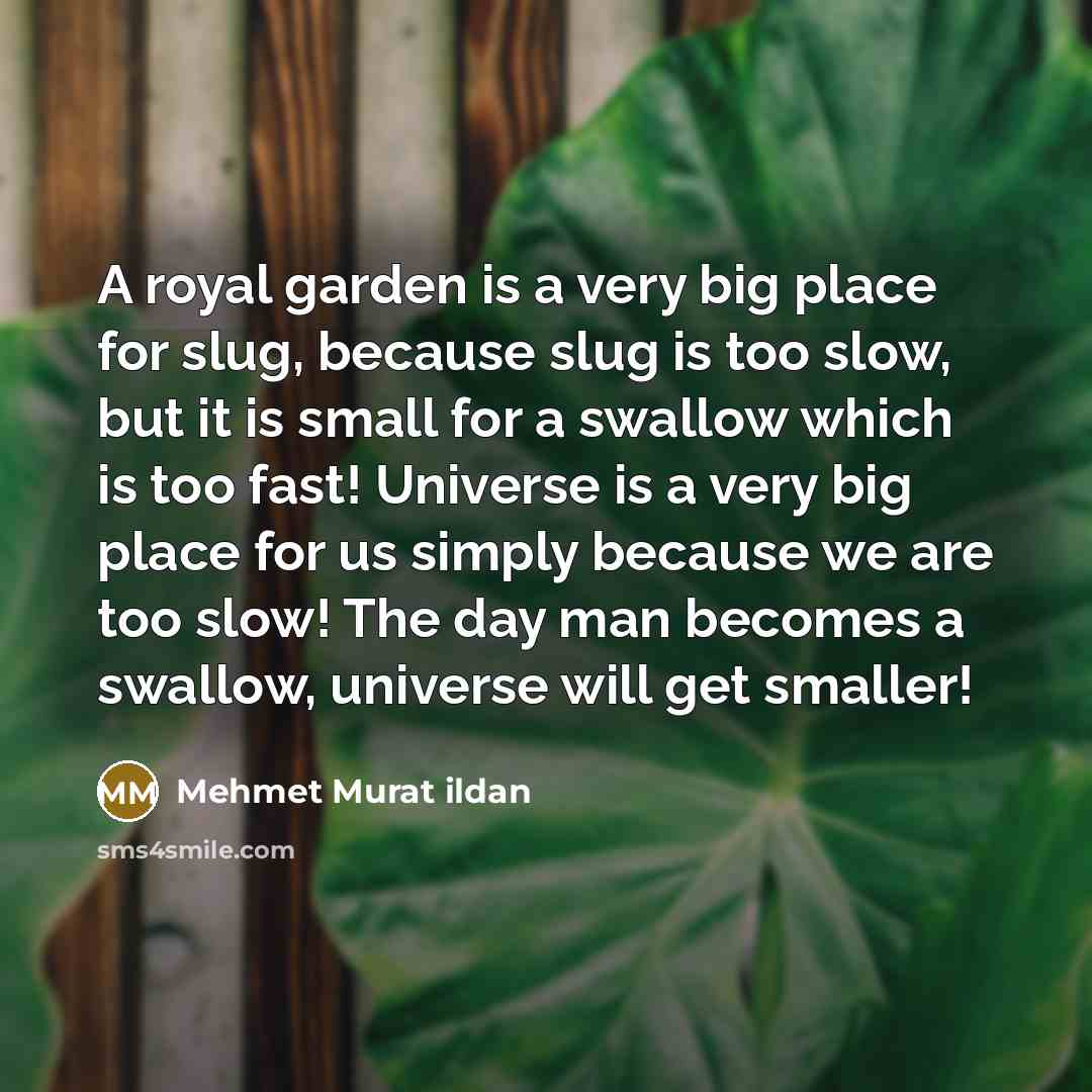 “A royal garden is a very big place for slug,…” quote by Mehmet Murat Ildan
