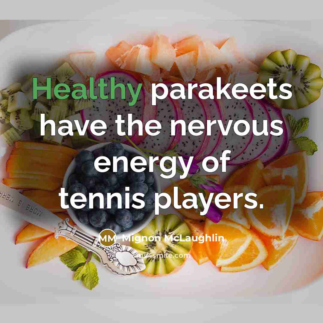 “Healthy parakeets have the nervous energy of tennis players.…” quote by Mignon McLaughlin