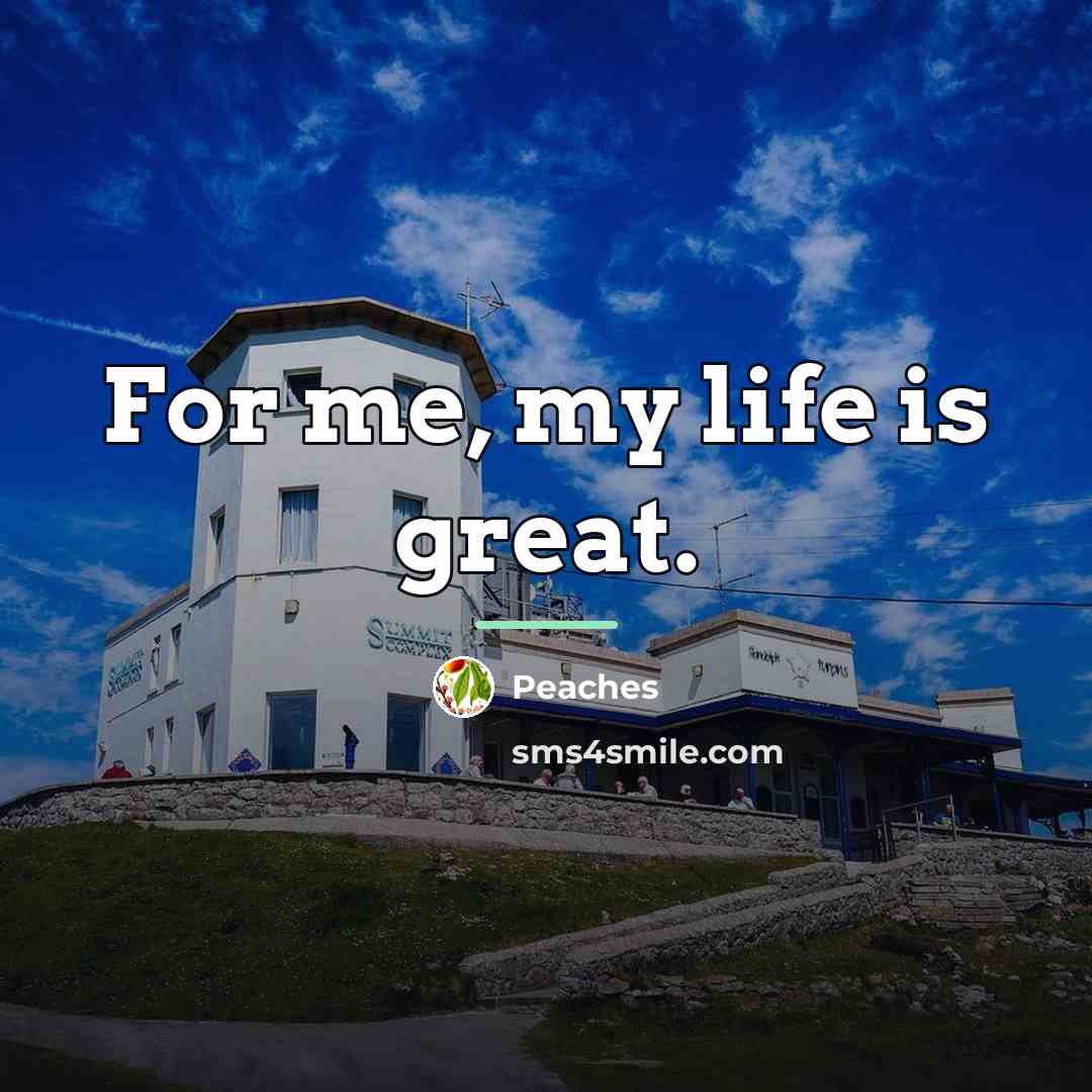 “For me, my life is great.…” quote by Peaches