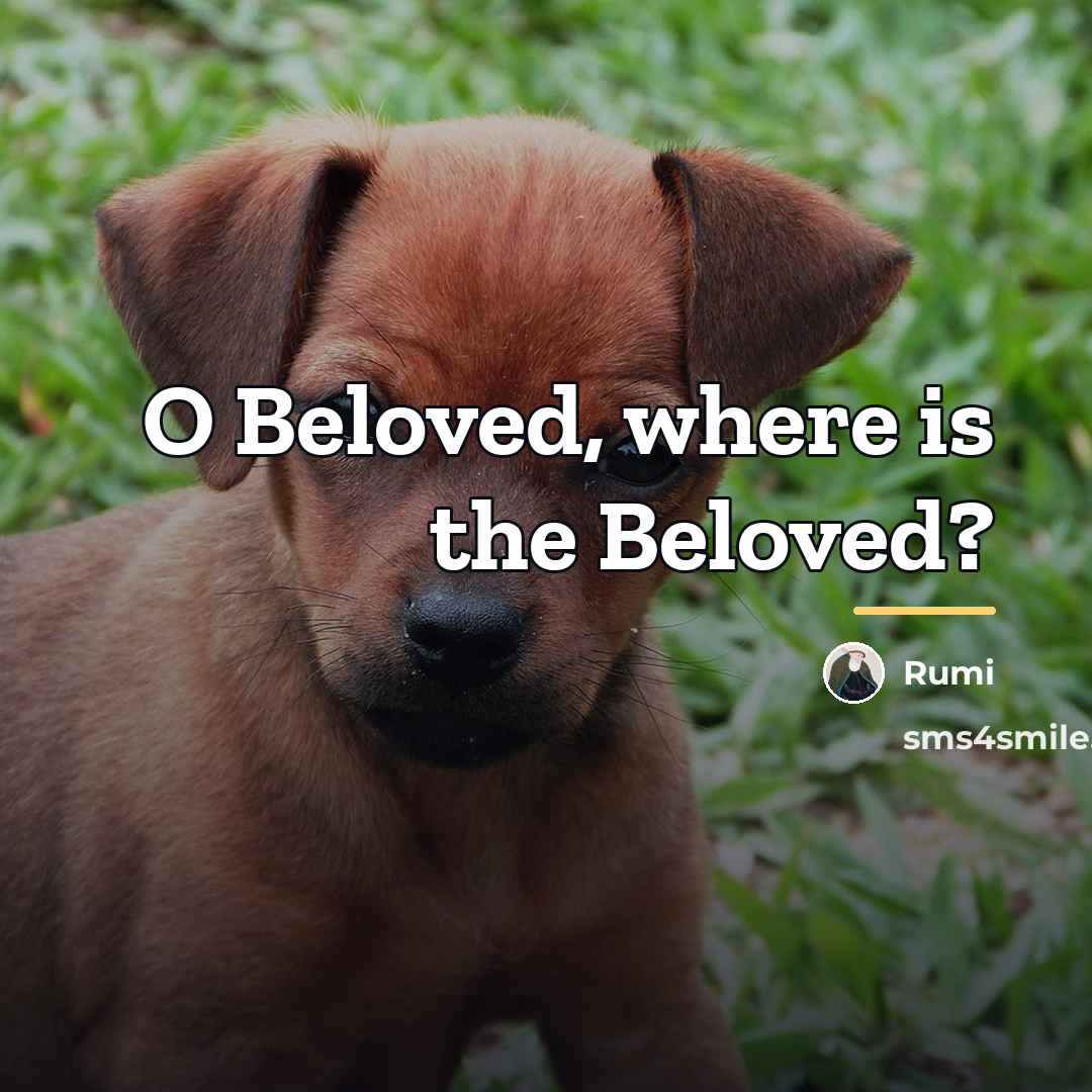 “O Beloved, where is the Beloved?…” quote by Rumi