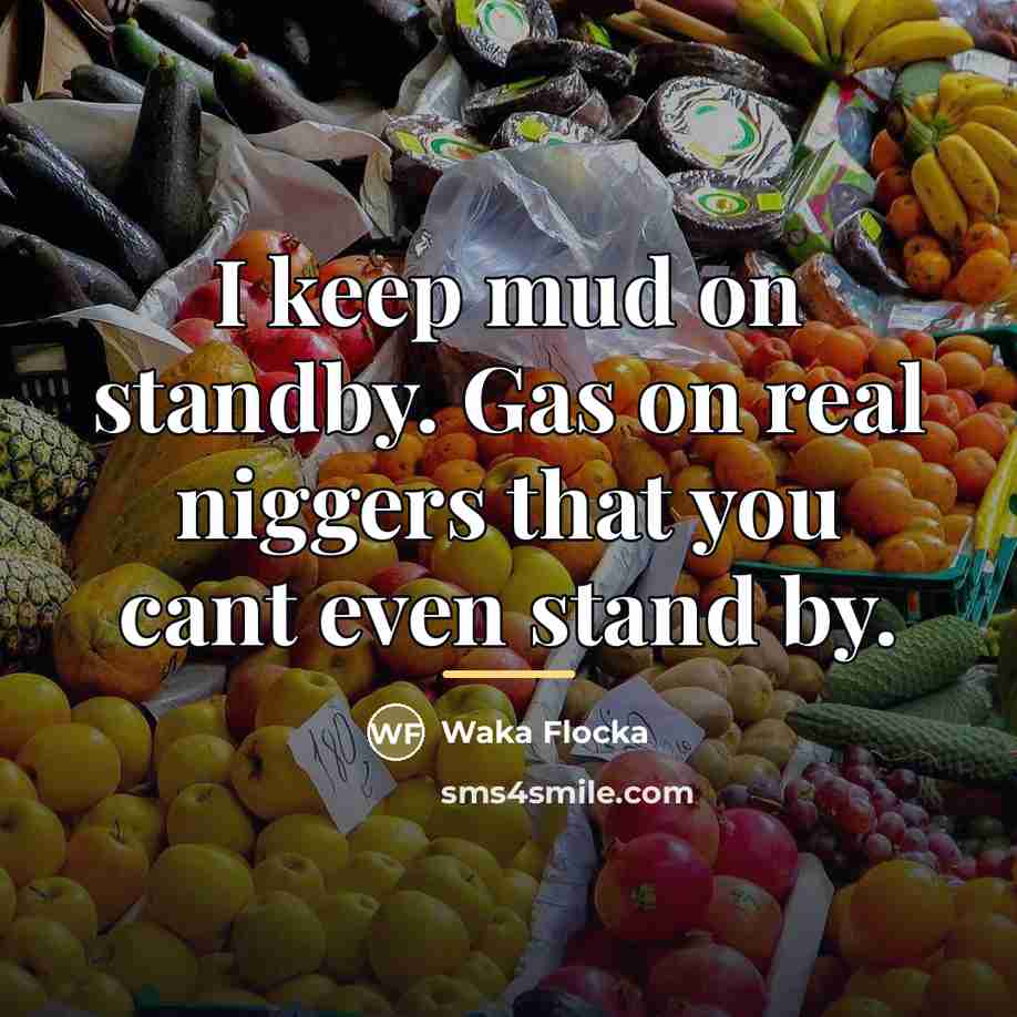 “I keep mud on standby. Gas on real niggers that…” quote by Waka Flocka