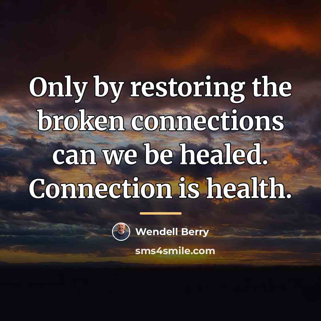 “Only by restoring the broken connections can we be healed.…” quote by Wendell Berry