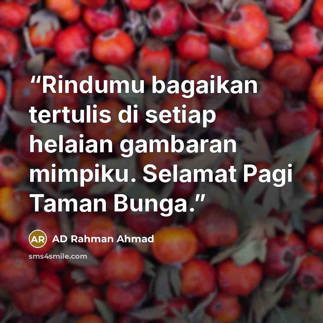 “Rindumu bagaikan tertulis di setiap helaian gambaran mimpiku. Selamat Pagi Taman Bunga.” quote by AD Rahman Ahmad