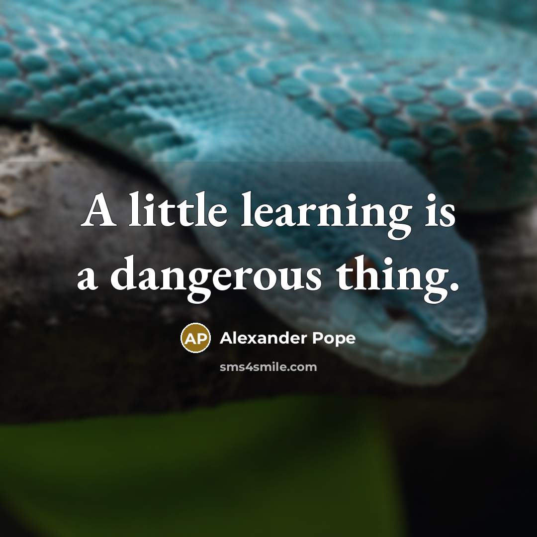 “A little learning is a dangerous thing.…” quote by Alexander Pope