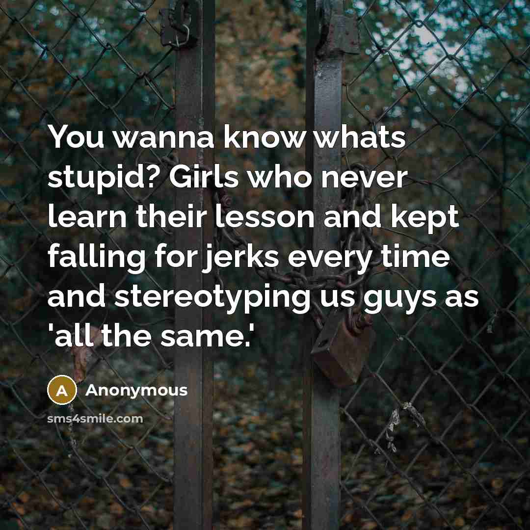 “You wanna know whats stupid? Girls who never learn their lesson and kept falling for jerks every time and stereotyping us guys as 'all the same.'” quote by Anonymous