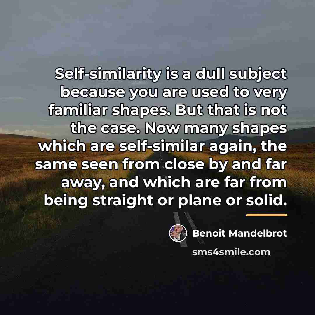“Self-similarity is a dull subject because you are used to…” quote by Benoit Mandelbrot