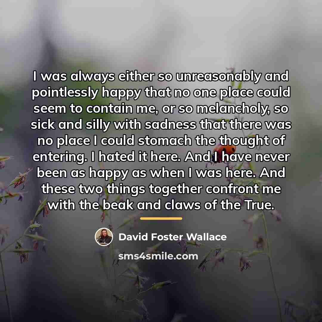“I was always either so unreasonably and pointlessly happy that…” quote by David Foster Wallace