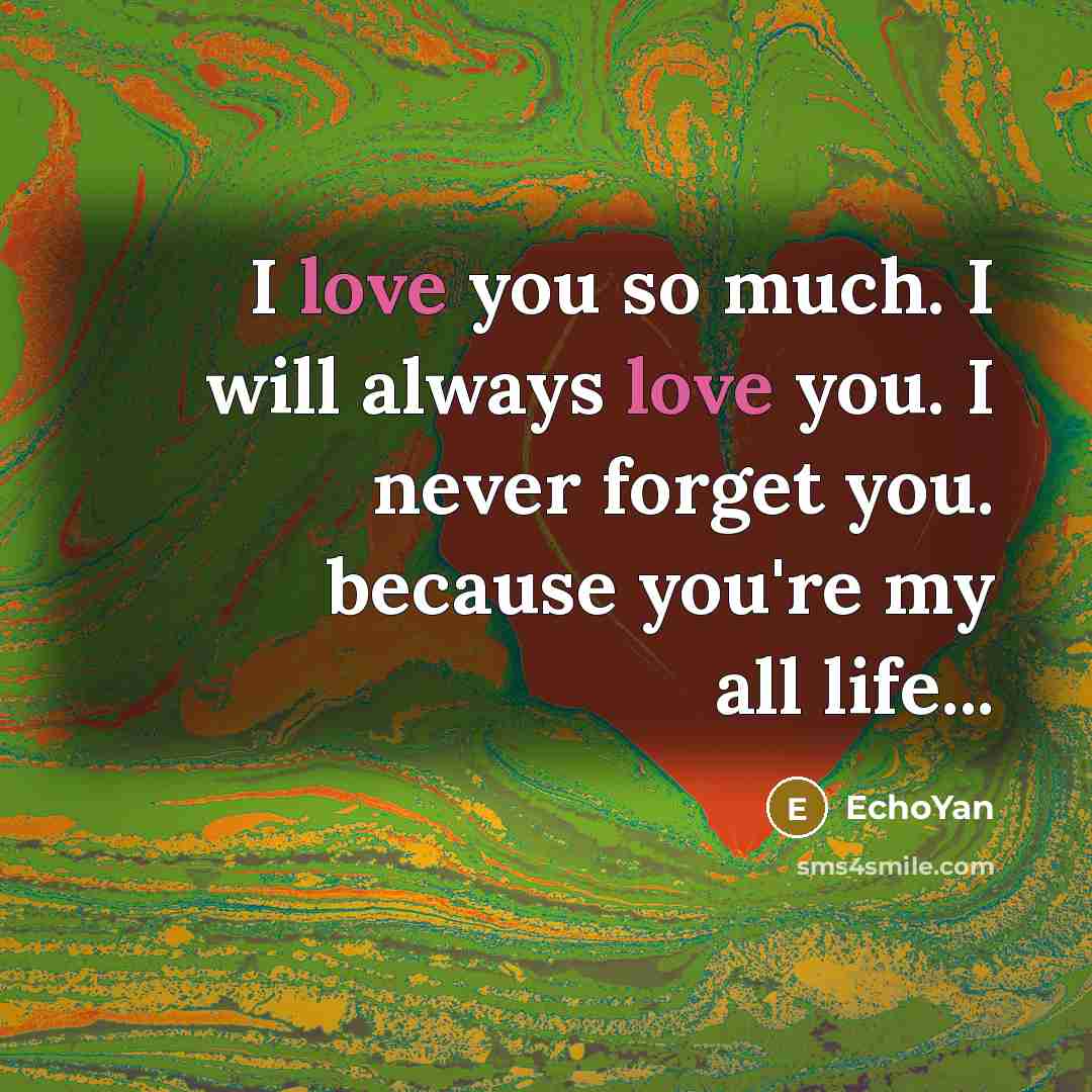 “I love you so much. I will always love you. I never forget you. because you're my all life...” quote by EchoYan