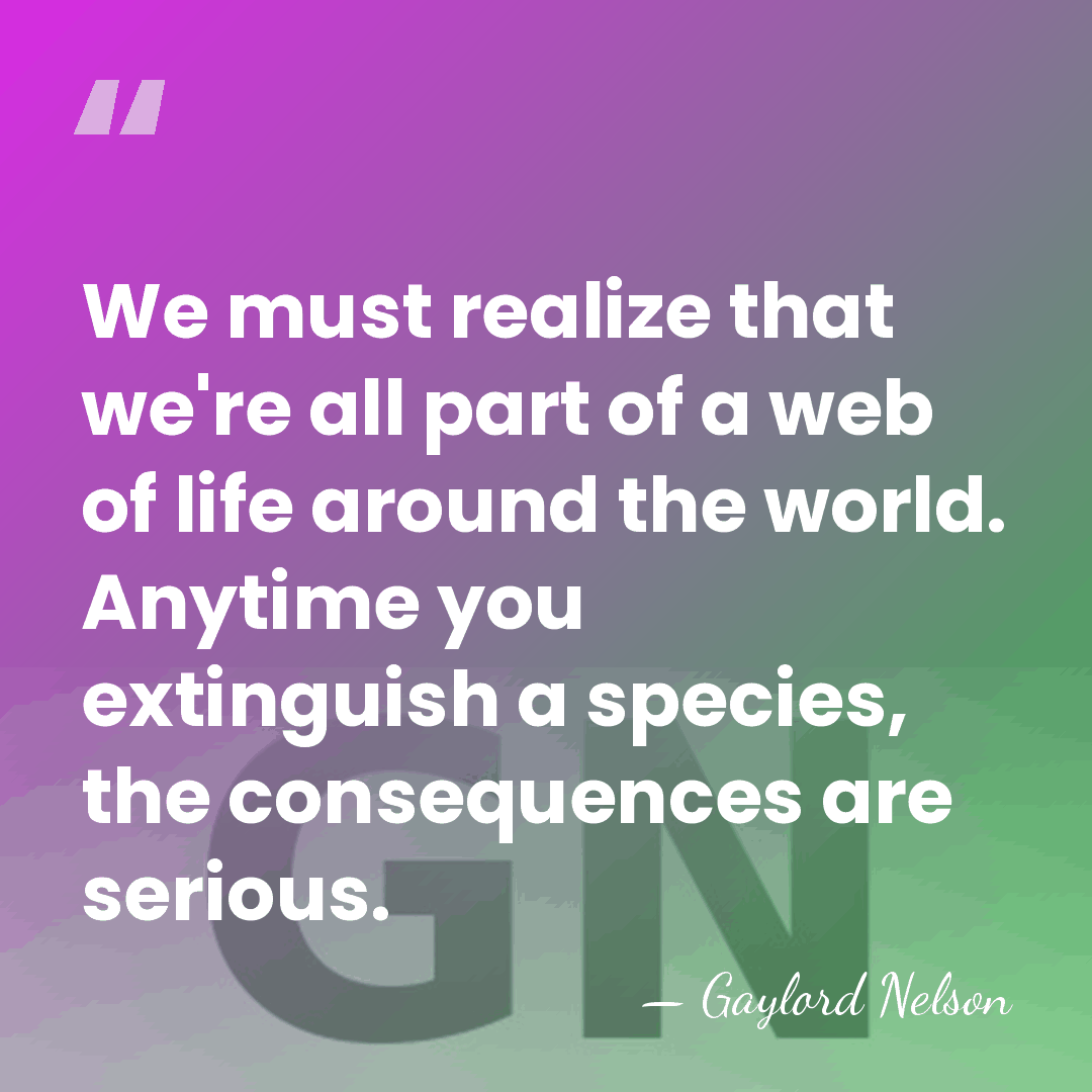 We must realize that we're all part of a web of life&hellip; - Gaylord Nelson