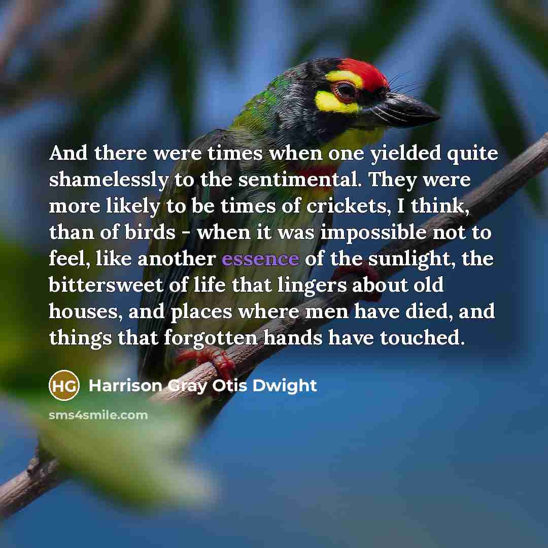 “And there were times when one yielded quite shamelessly to…” quote by Harrison Gray Otis Dwight