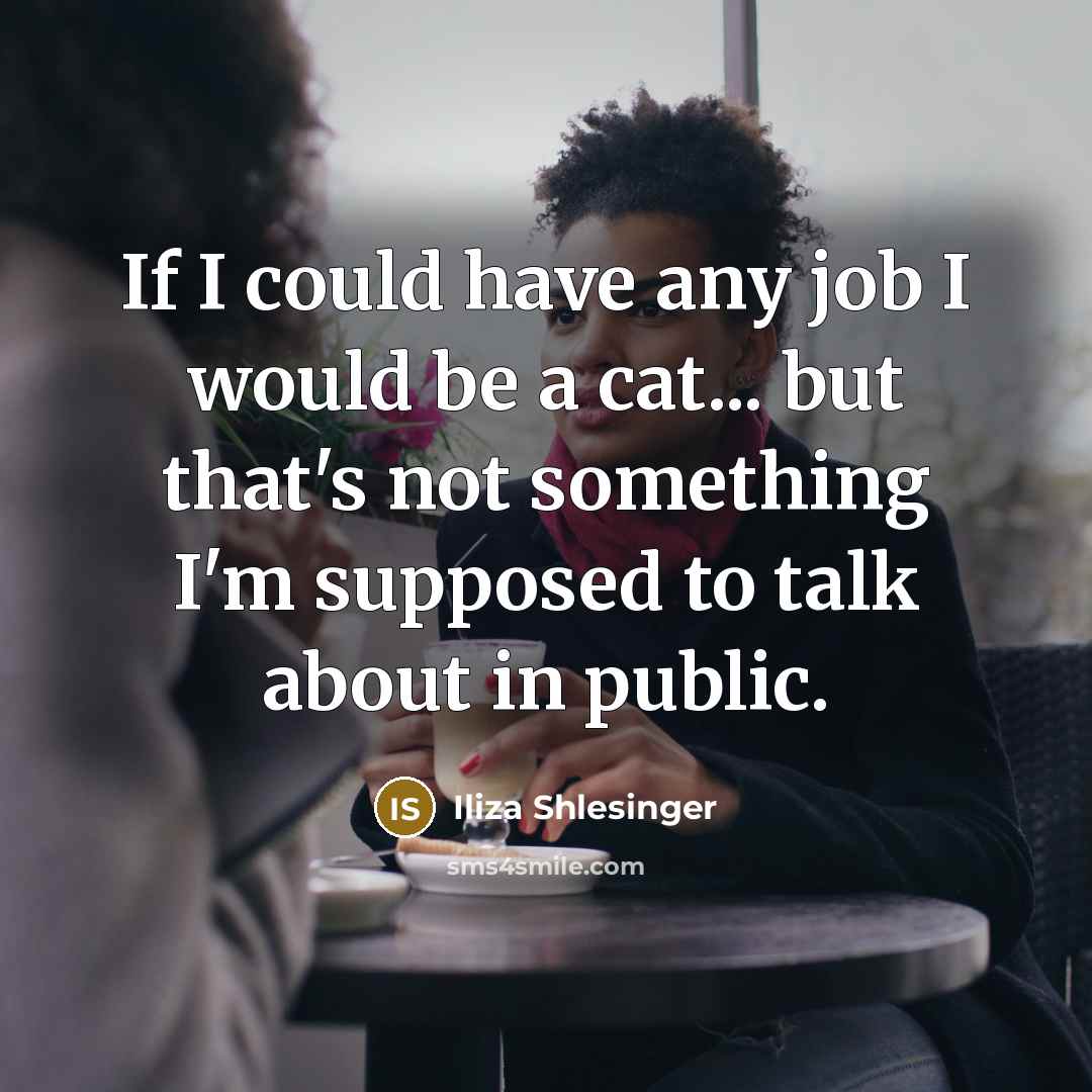 “If I could have any job I would be a…” quote by Iliza Shlesinger