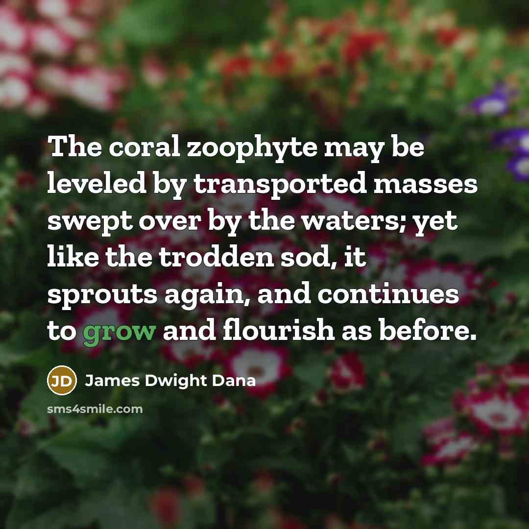 “The coral zoophyte may be leveled by transported masses swept…” quote by James Dwight Dana