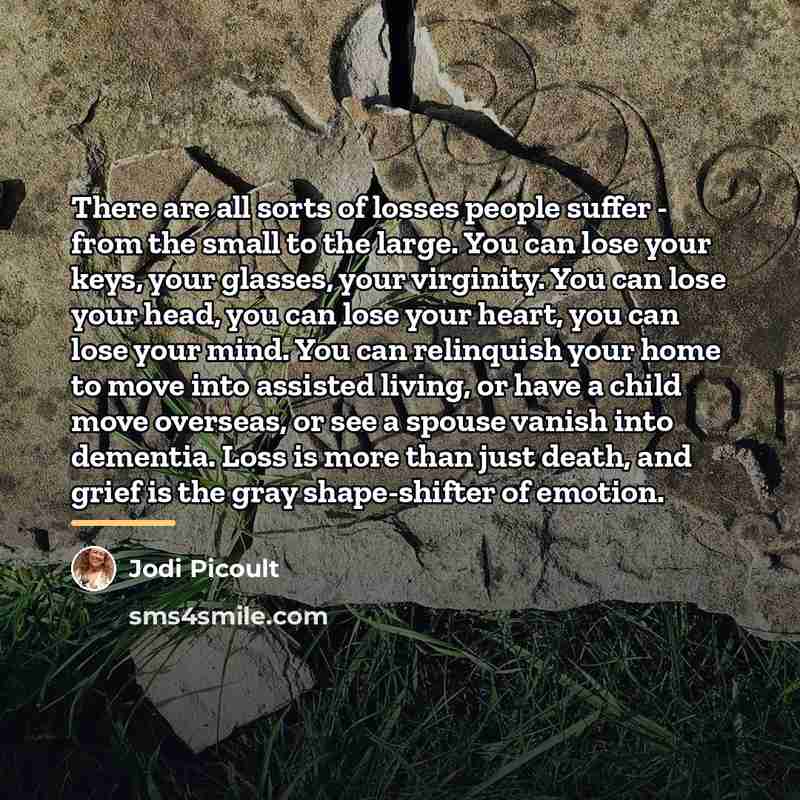 “There are all sorts of losses people suffer - from…” quote by Jodi Picoult