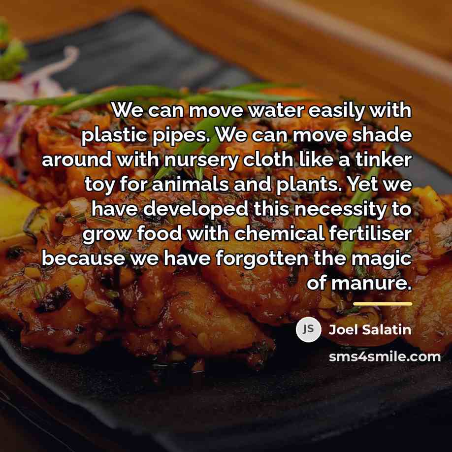 “We can move water easily with plastic pipes. We can…” quote by Joel Salatin